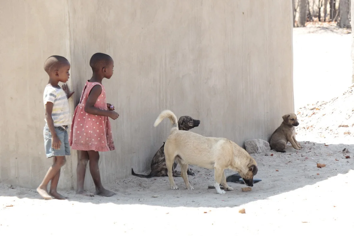 Enfants près de chiens dans une zone touchée par la rage en Afrique